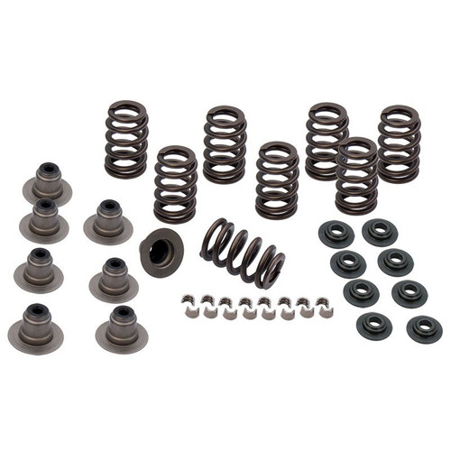 Heavy Duty Valve Spring kit for 2017-Up M8 Models