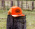 Hat, Trucker, S&S® Cycle, One Size Fits All, Blaze Orange