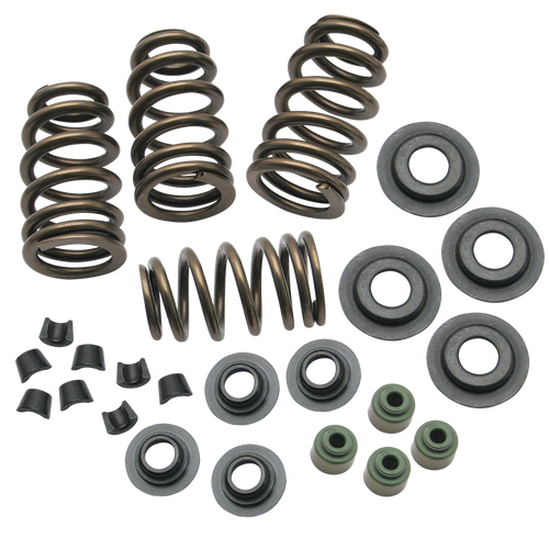 Sidewinder® .650" Valve Spring Kit for 2005-'18 Big Twins and 2004-'19 HD® Sportster® Models